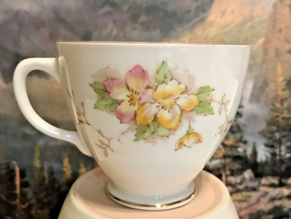 Vintage Sampson Smith Old Royal Bone China Footed Cup Yellow Pink Flower 2264